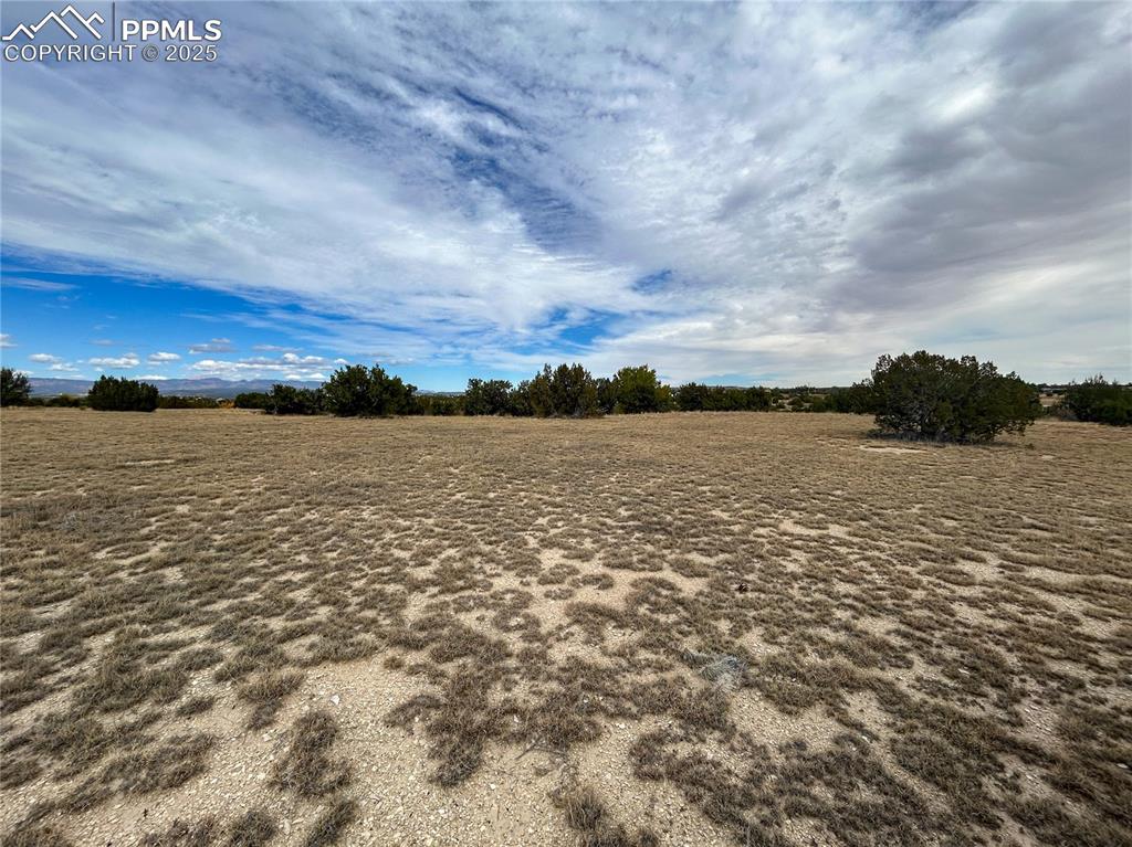 Image 7 of 11: Other