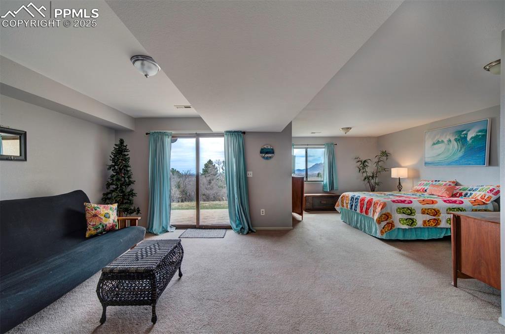 Image 27 of 44: Basement /Bedroom with light colored carpet, multiple windows, and access t