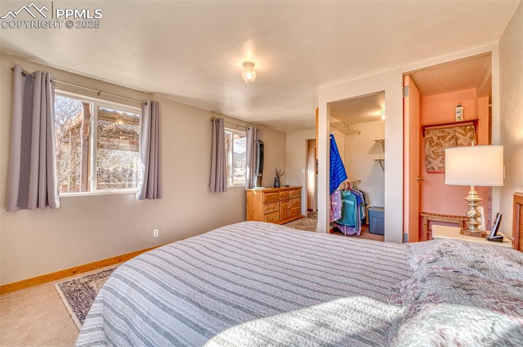 Image 19 of 45: Carpeted bedroom featuring a spacious closet, multiple windows, baseboards,