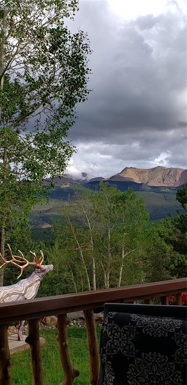 Image 27 of 30: No Description Available