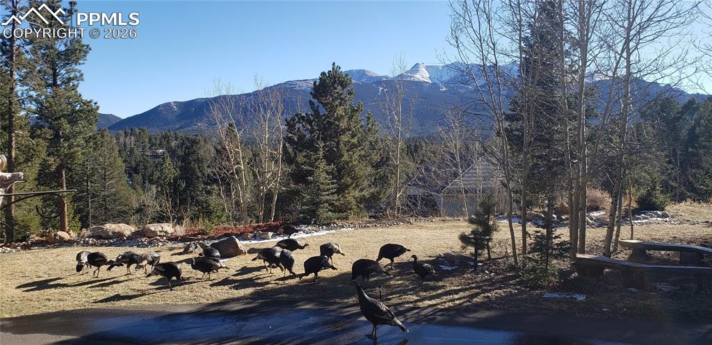 Image 5 of 30: Winter View and Visitors
