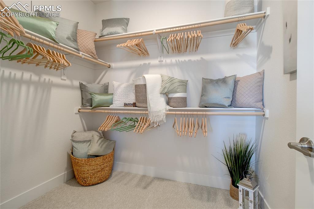 Image 17 of 27: Walk in closet with carpet