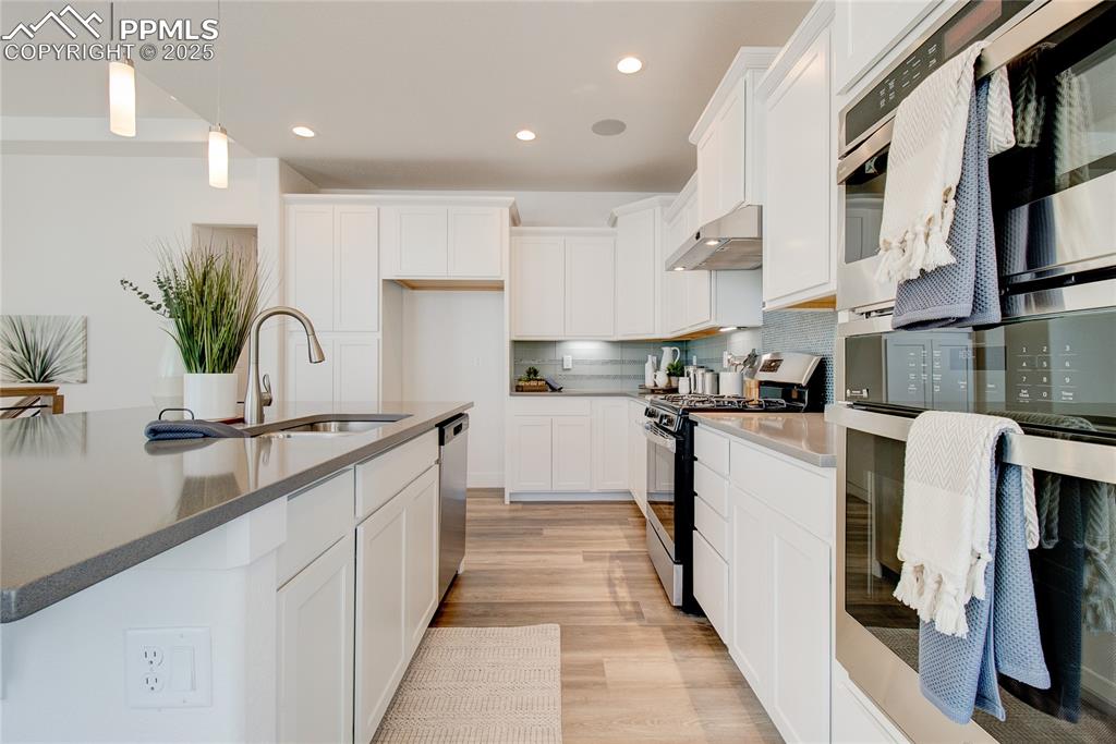 Image 6 of 27: Kitchen with stainless steel appliances, under cabinet range hood, light wo