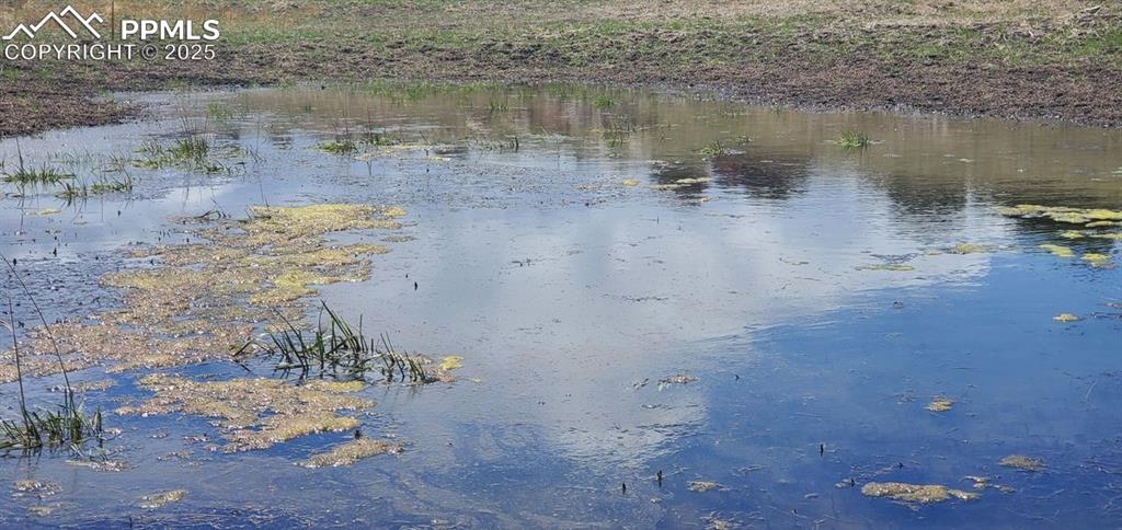 Image 11 of 25: View