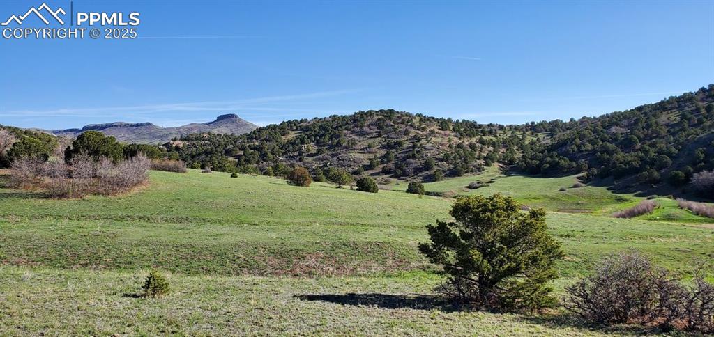 Image 12 of 25: View