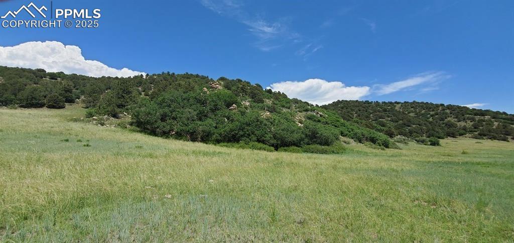 Image 13 of 25: Other