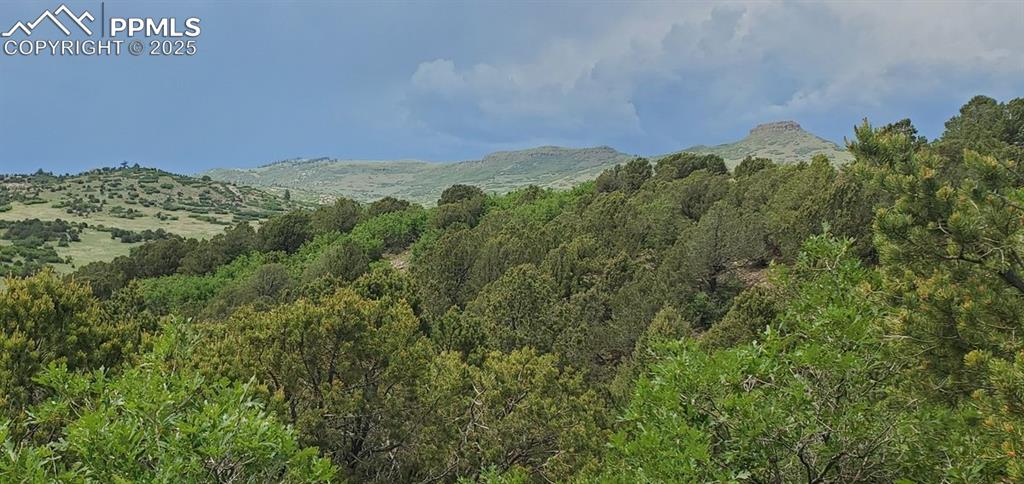 Image 15 of 25: View