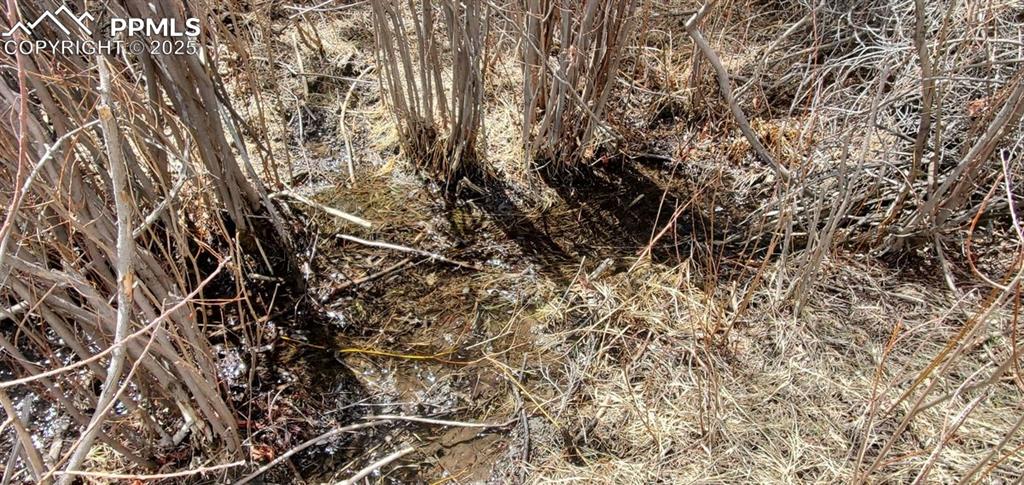 Image 17 of 25: Other