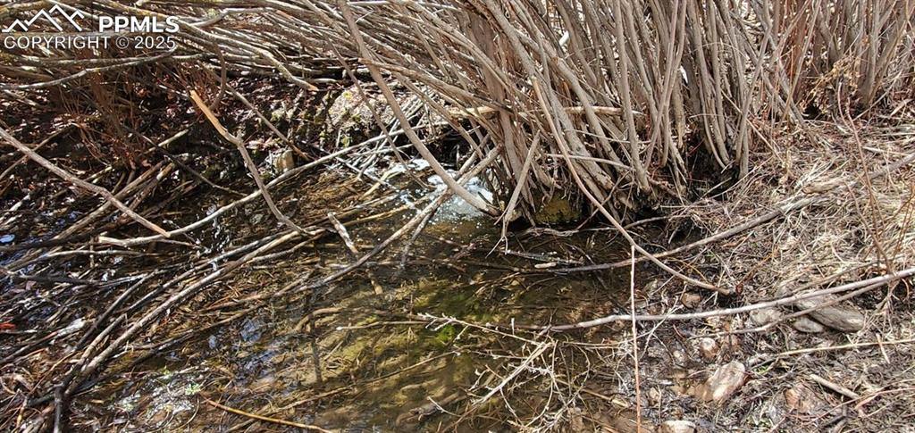 Image 18 of 25: Other