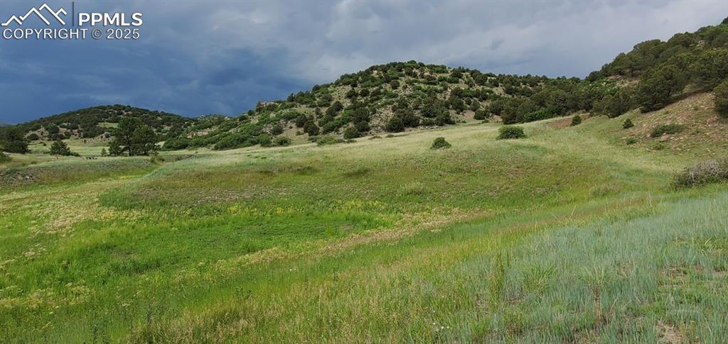 Image 2 of 25: Other