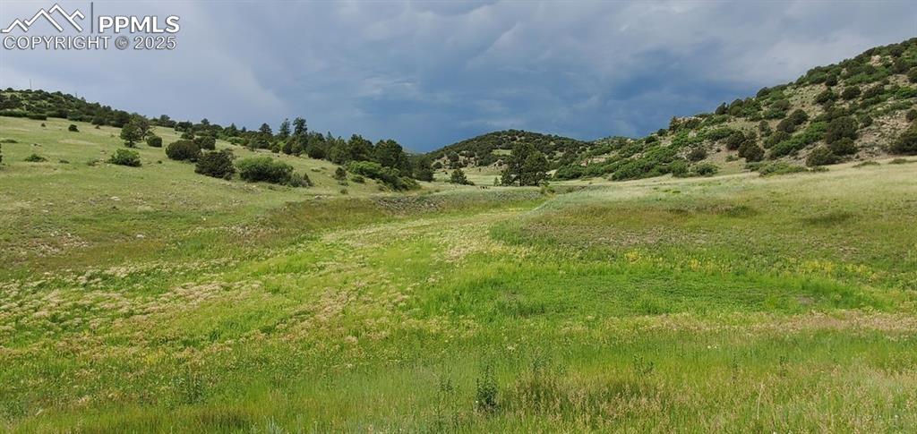 Image 3 of 25: Other