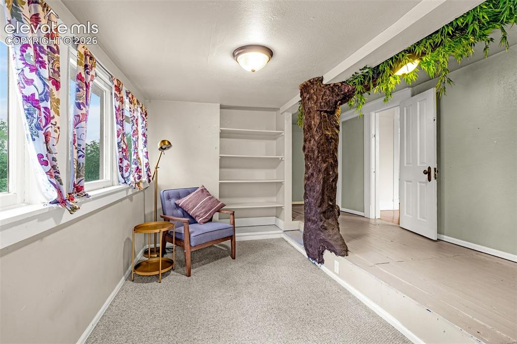 Image 21 of 33: Built-in shelving, carpeted flooring, and a decorative tree feature