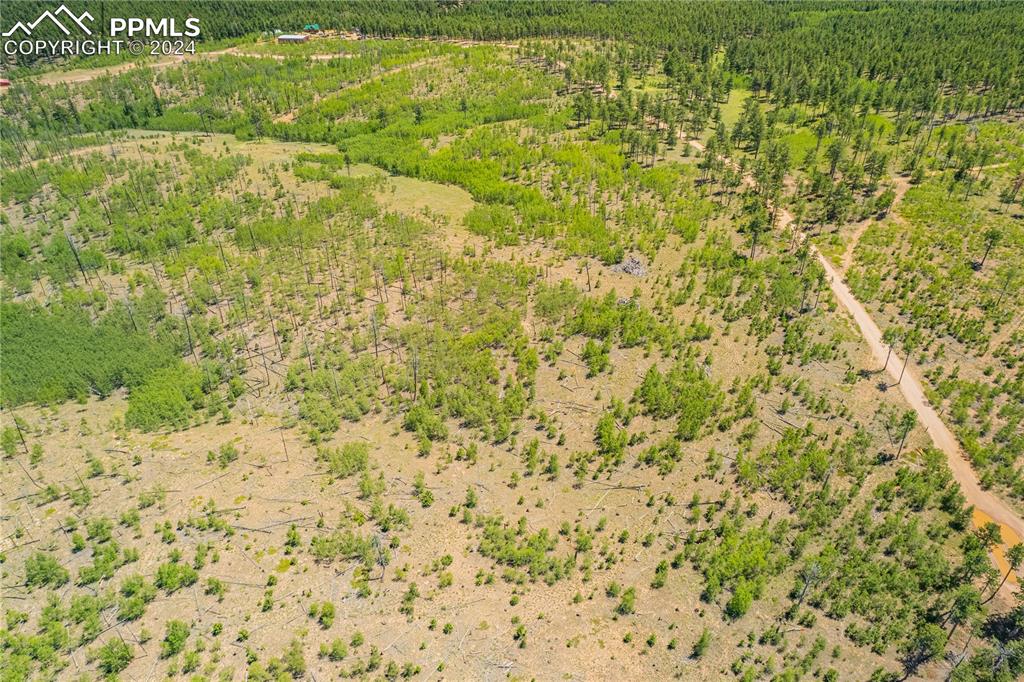 Image 10 of 40: Aerial View