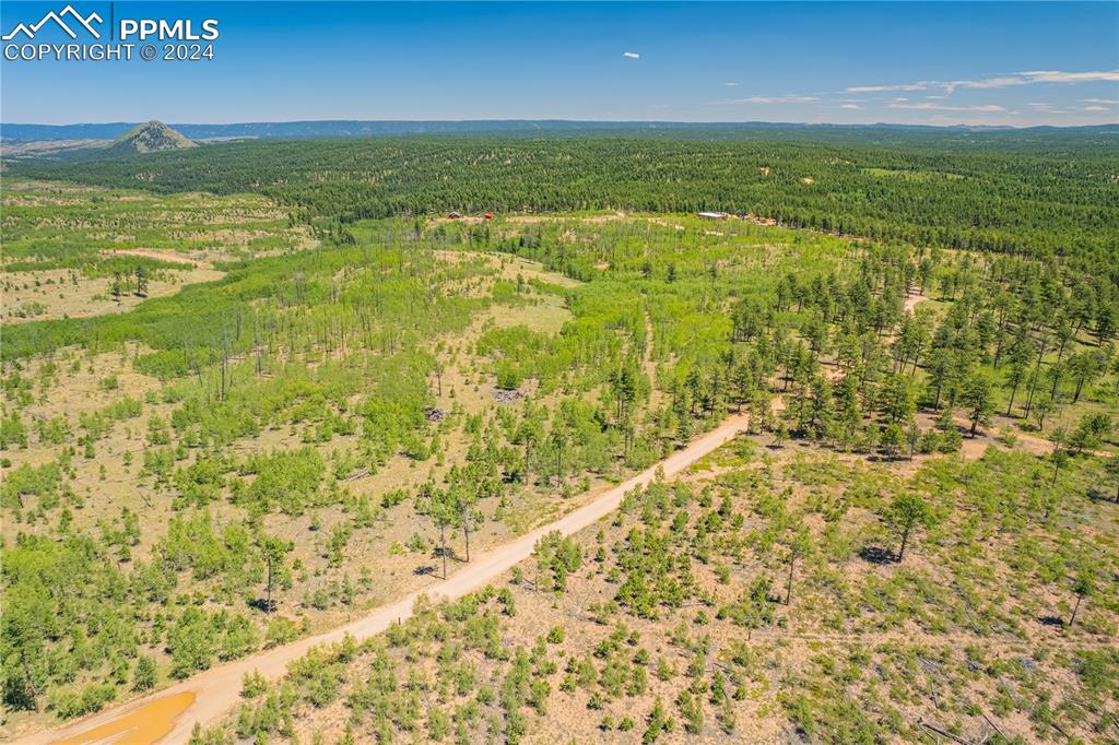 Image 11 of 40: Aerial View