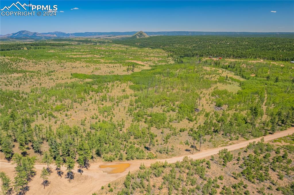 Image 12 of 40: Aerial View