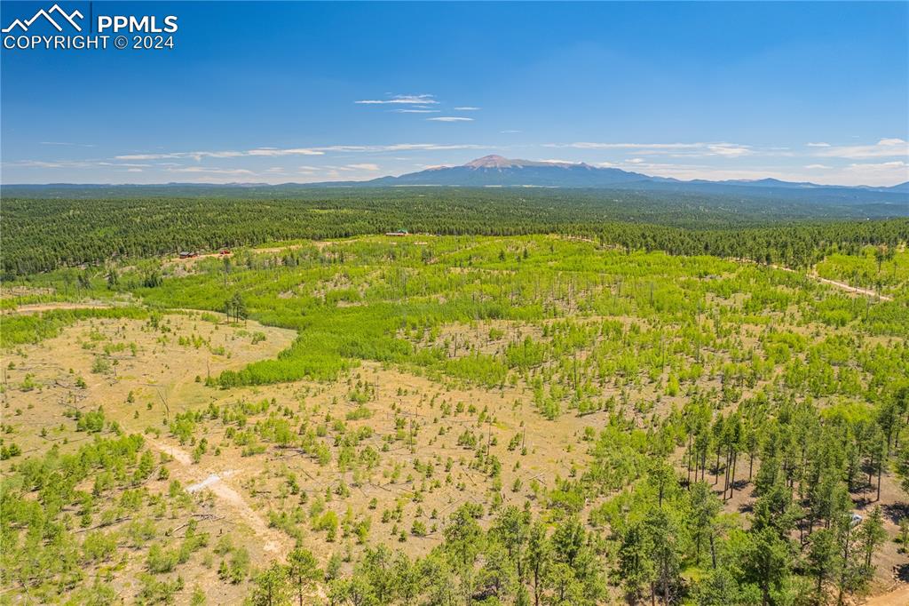 Image 15 of 40: Aerial View