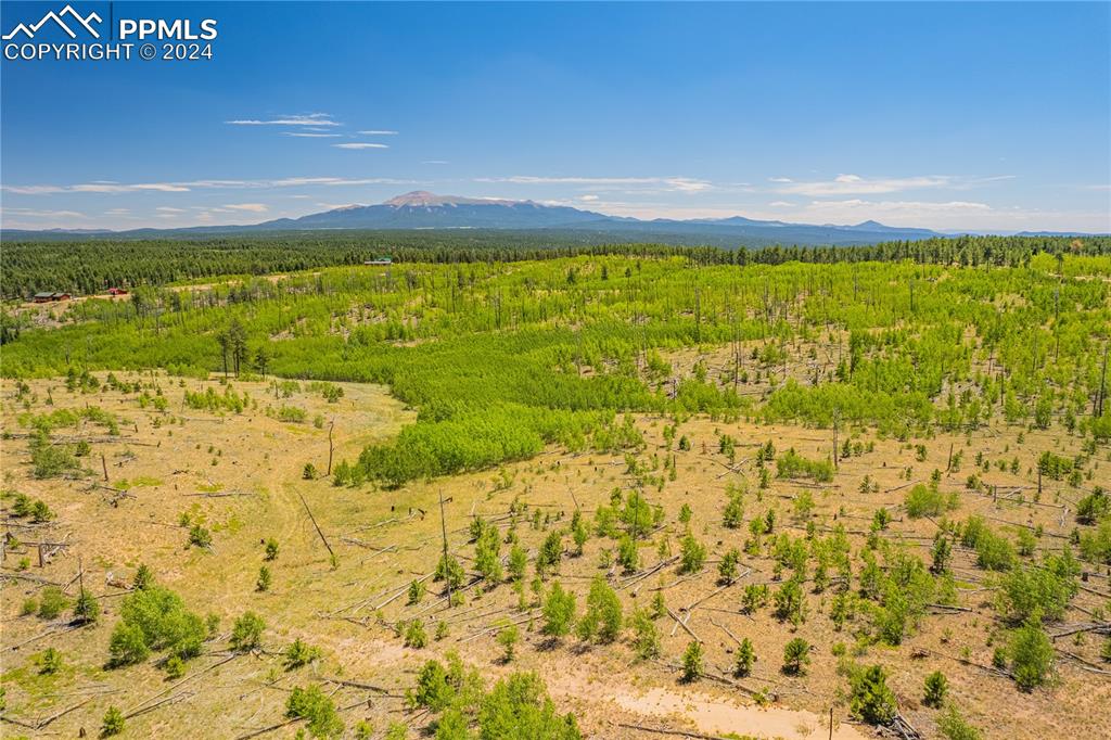 Image 16 of 40: Aerial View