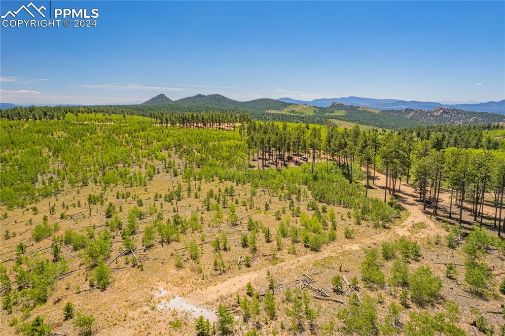 Image 17 of 40: Aerial View