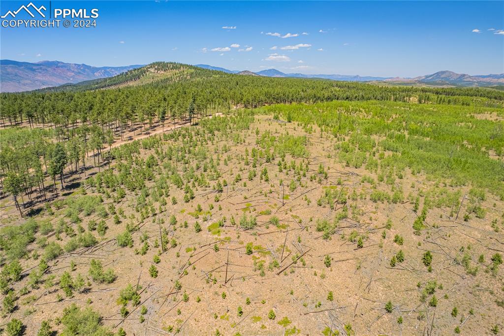 Image 18 of 40: View