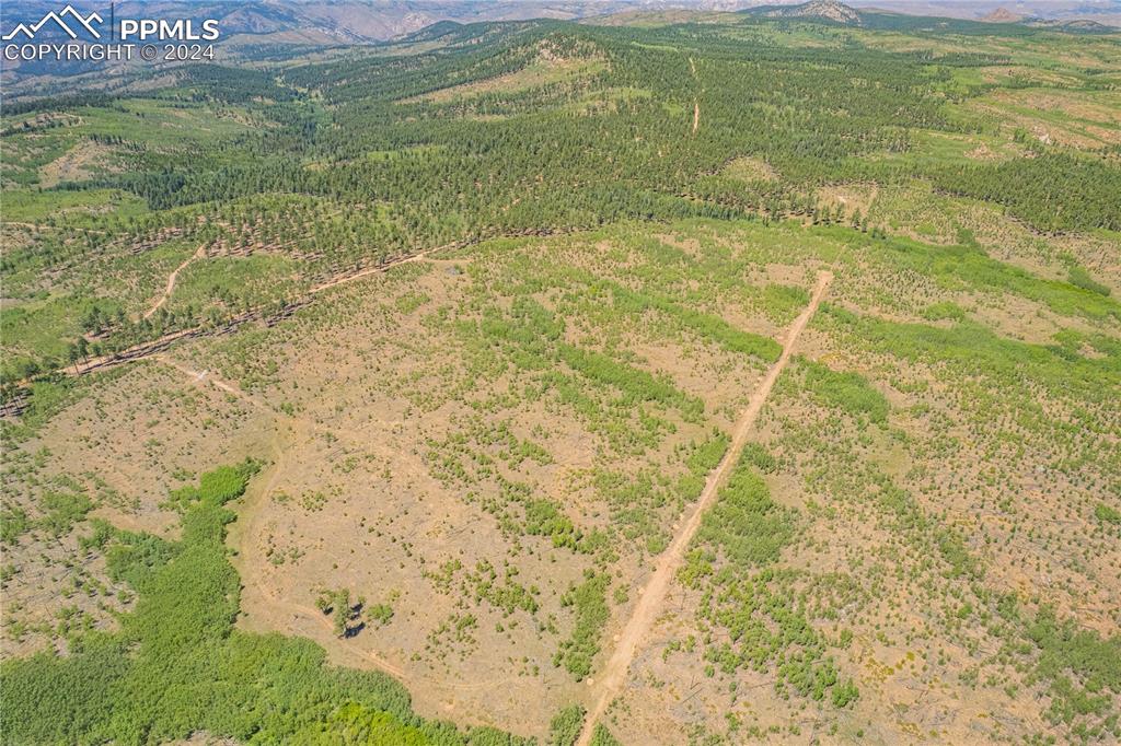 Image 20 of 40: Aerial View