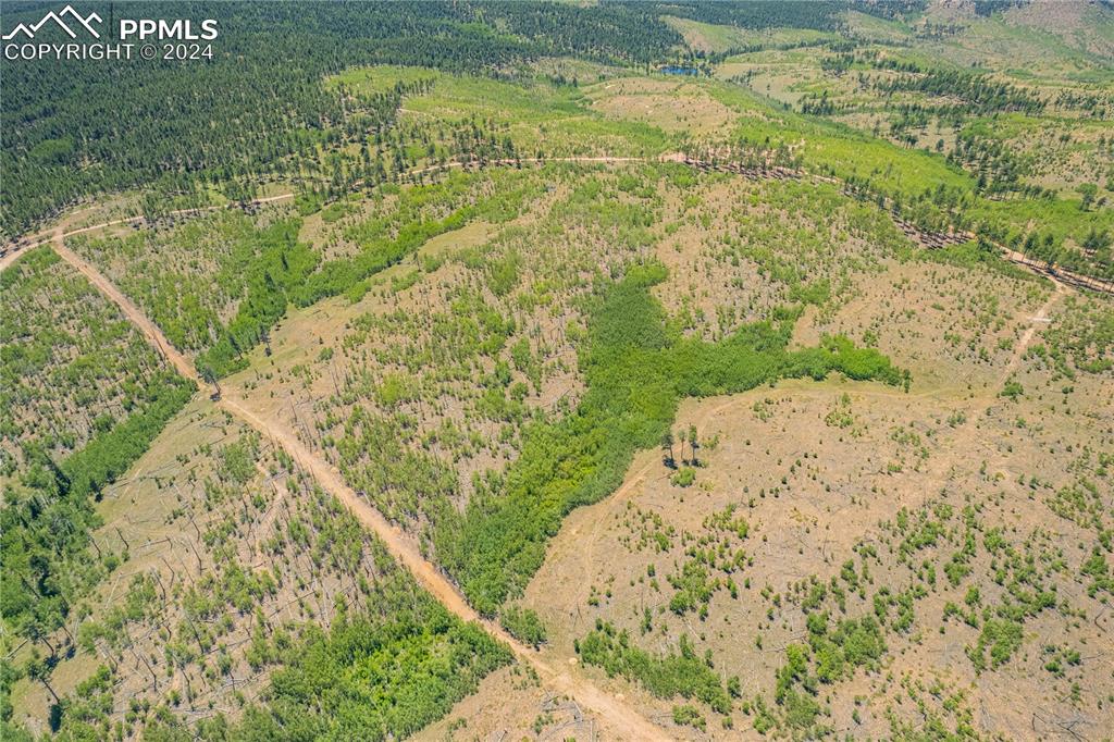 Image 21 of 40: Aerial View