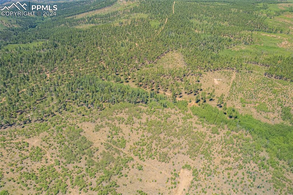 Image 22 of 40: Aerial View