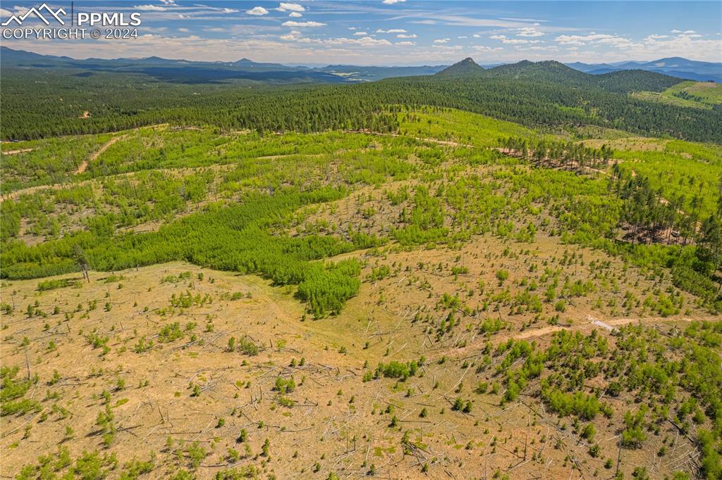 Image 23 of 40: Aerial View