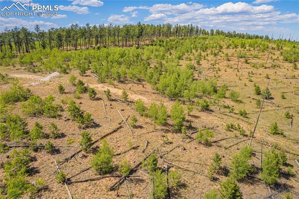 Image 25 of 40: Aerial View