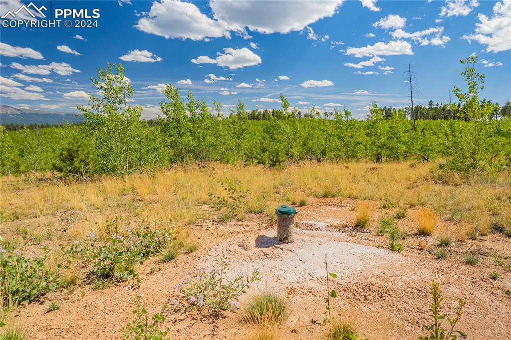 Image 26 of 40: Other