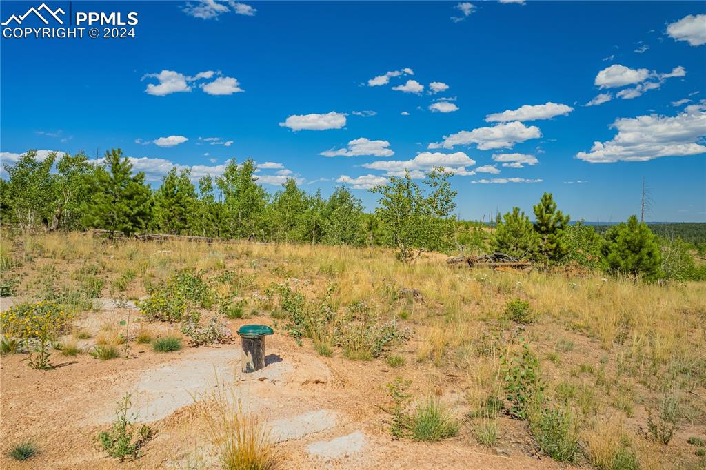 Image 28 of 40: Other