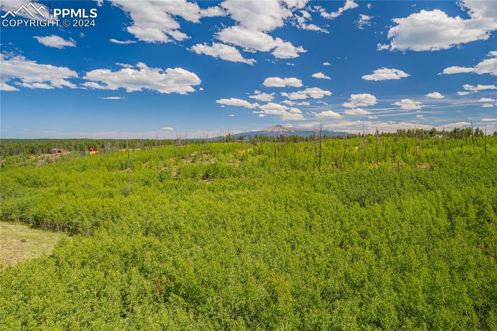 Image 29 of 40: Other