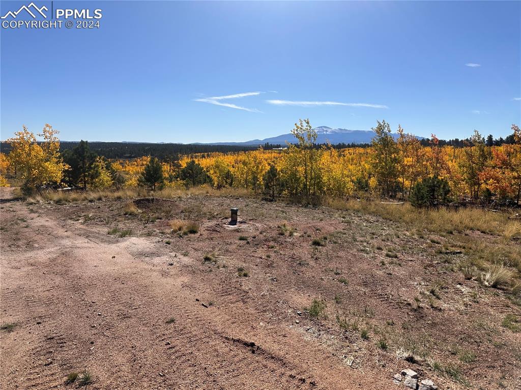 Image 3 of 40: Well Head