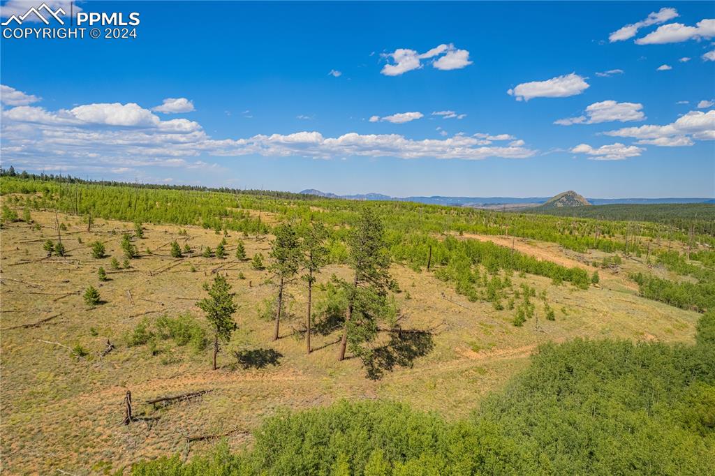 Image 30 of 40: Other