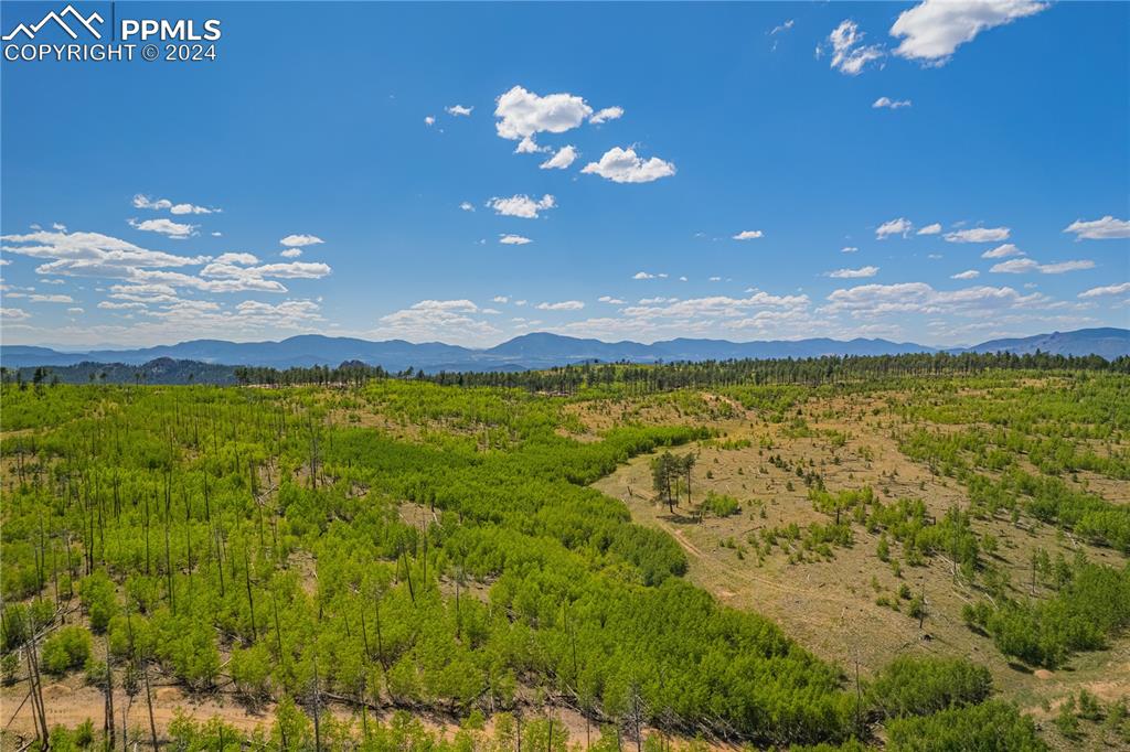 Image 31 of 40: View