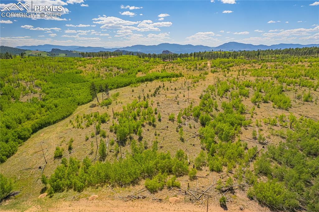 Image 32 of 40: Aerial View