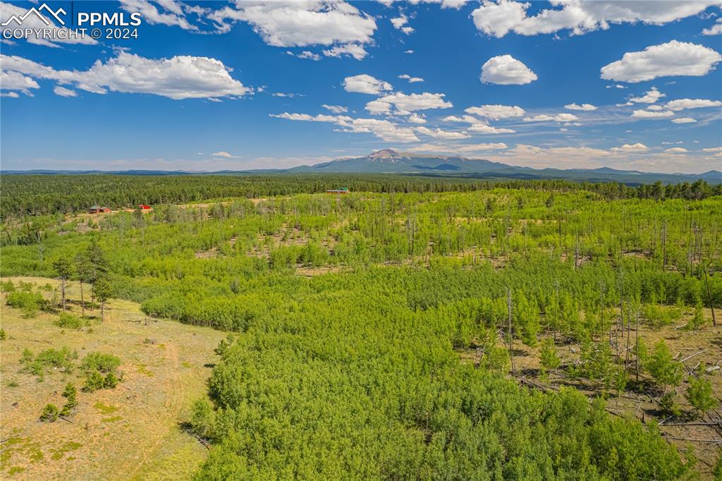 Image 34 of 40: View