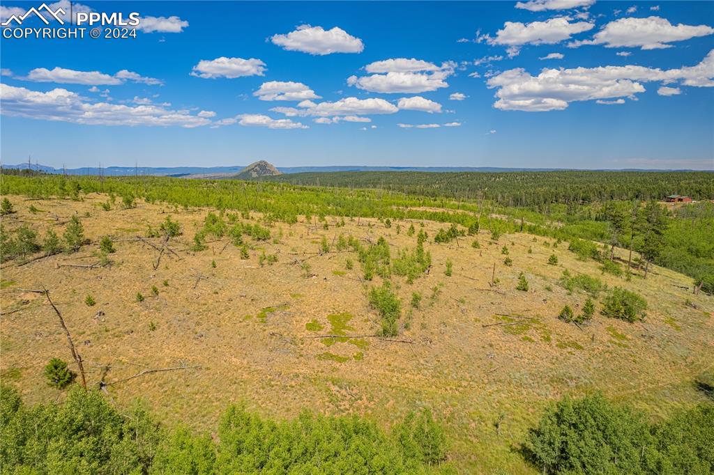 Image 35 of 40: View