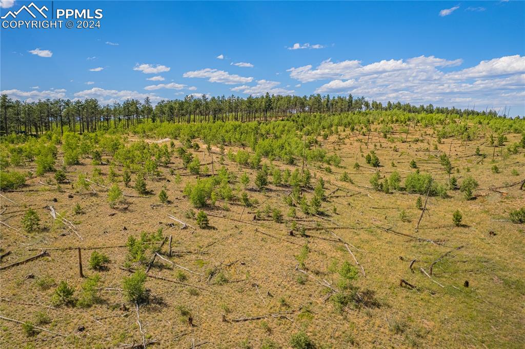 Image 36 of 40: Other