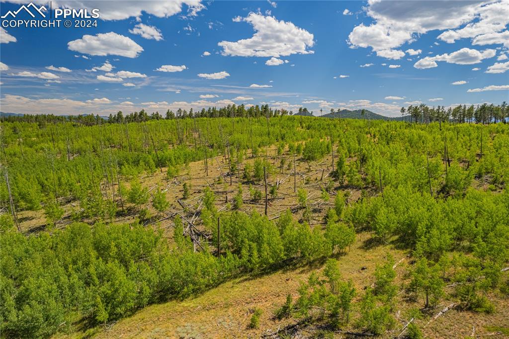 Image 38 of 40: Other