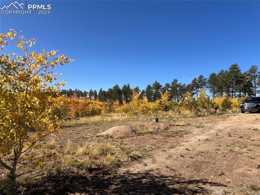 Image 40 of 40: Other