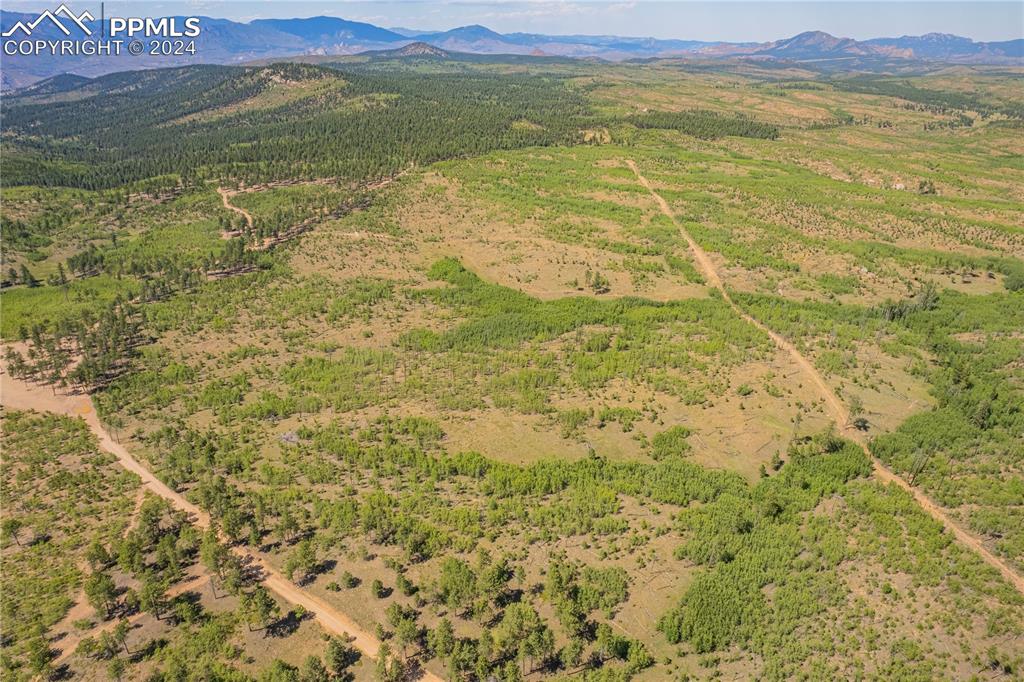 Image 8 of 40: Aerial View
