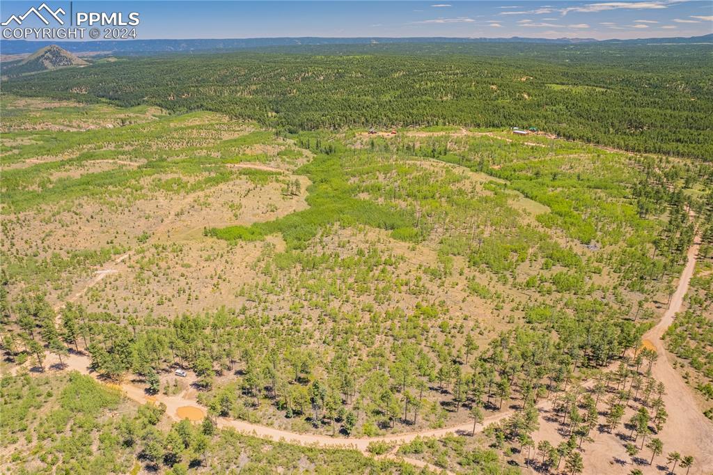 Image 9 of 40: Aerial View
