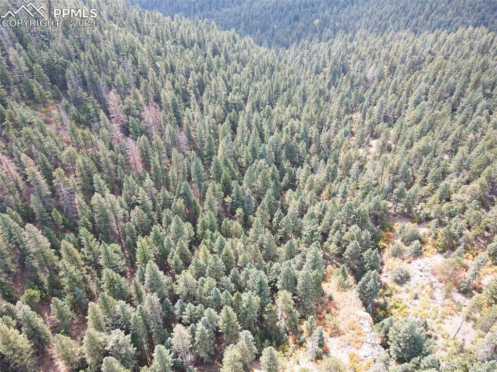 Image 30 of 33: Aerial View