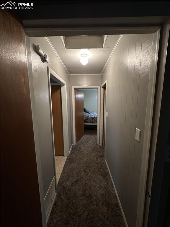 Image 12 of 33: Other