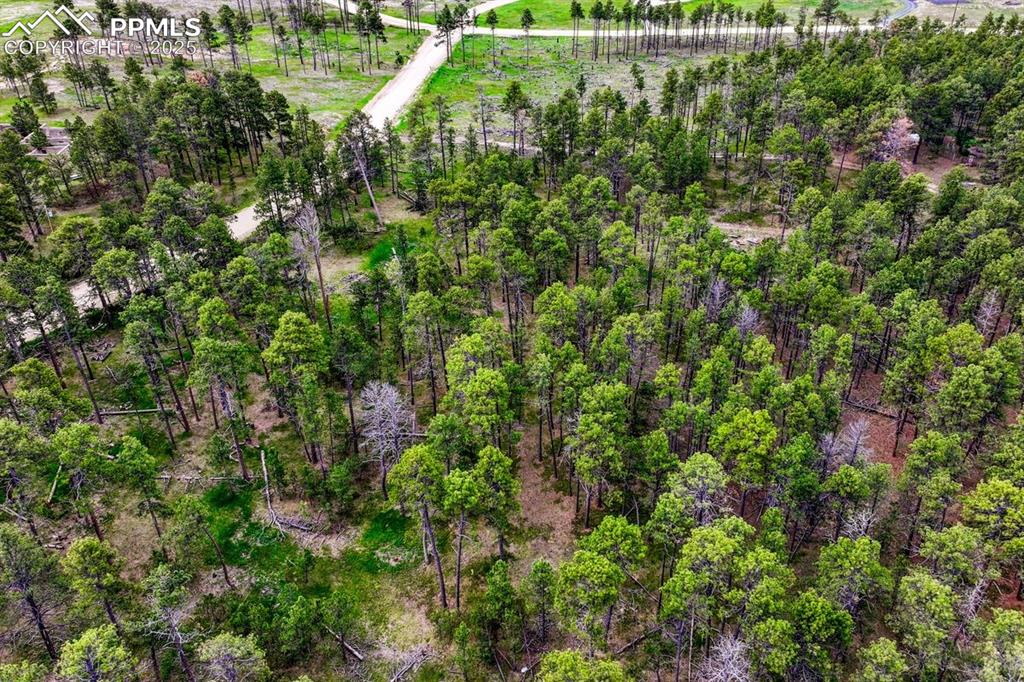 Image 19 of 50: Aerial View