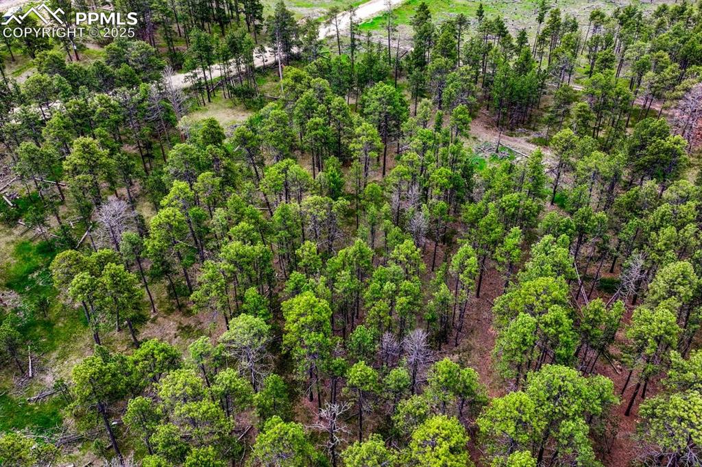 Image 20 of 50: Aerial View
