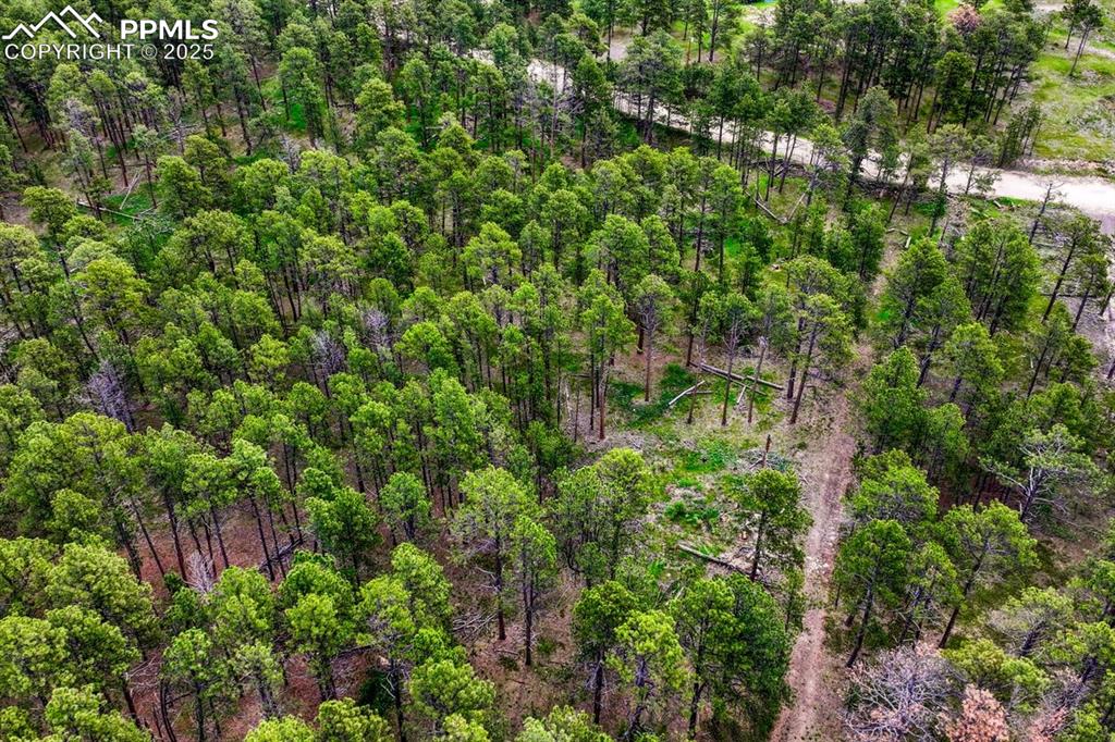 Image 22 of 50: Aerial View