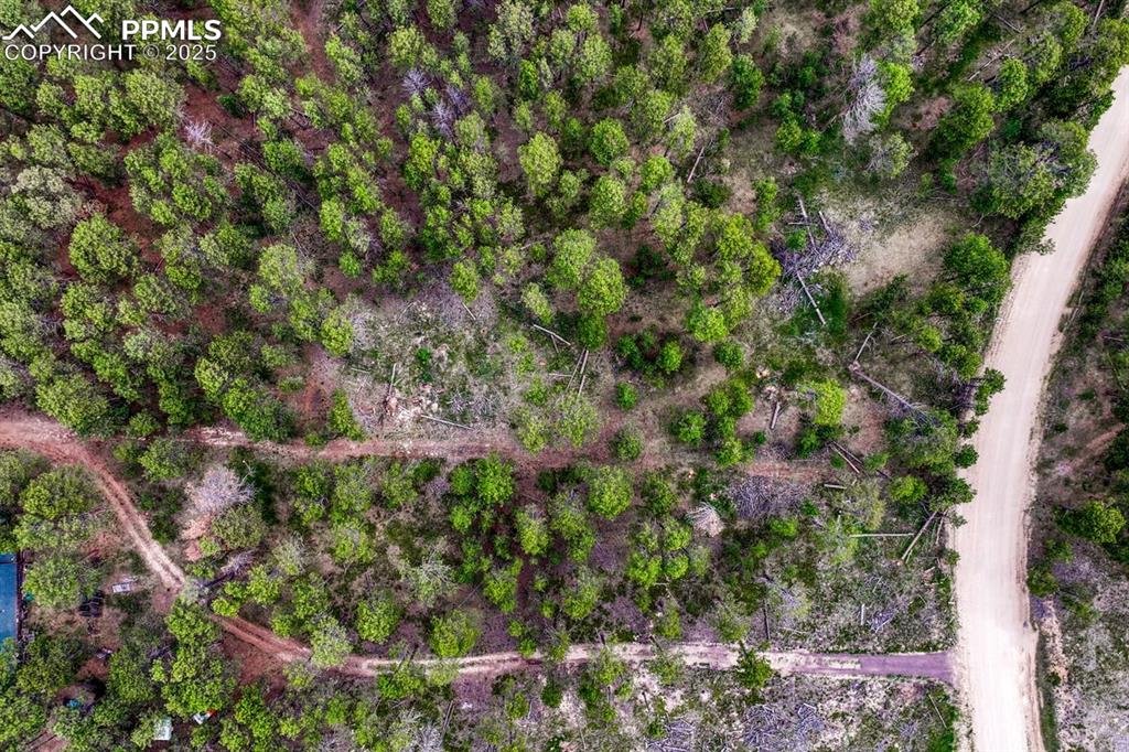 Image 27 of 50: Aerial View