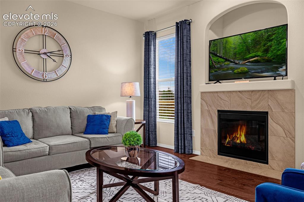 Image 13 of 49: Fireplace featuring a stone-tile surround, arched built-in recessed niche,