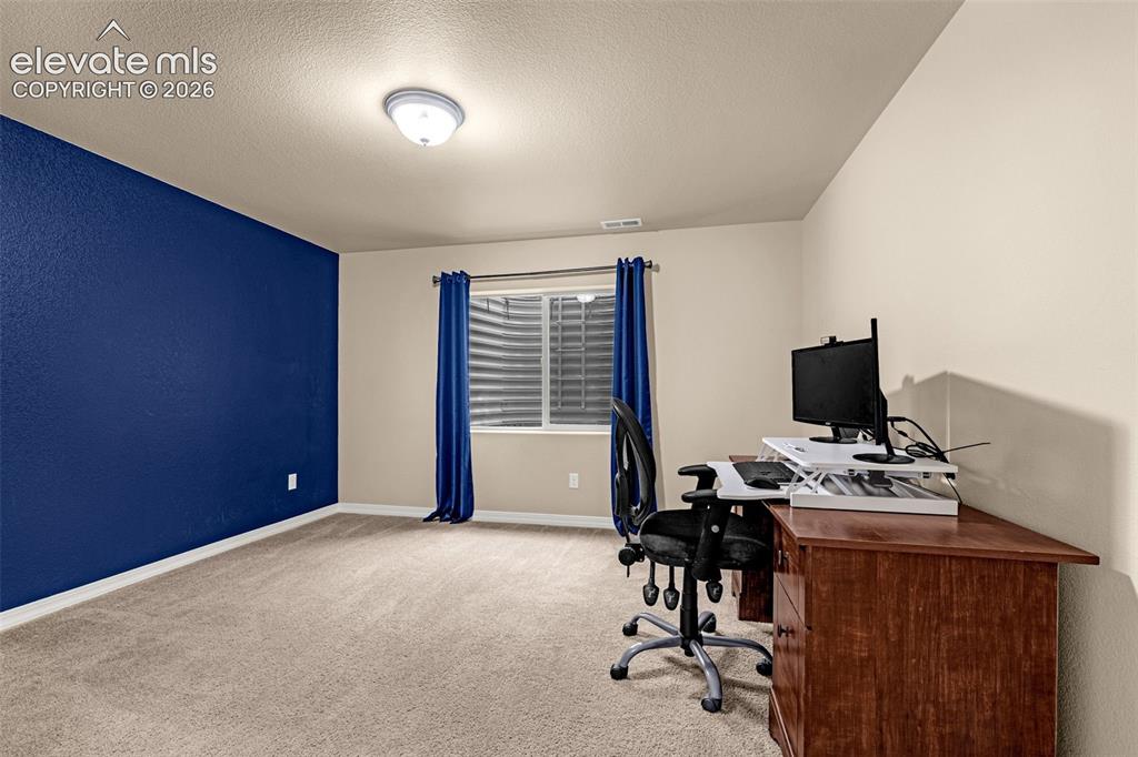 Image 33 of 49: Interior space featuring neutral carpeting, a bold navy accent wall, and a 